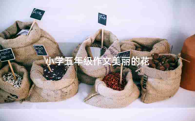 小学五年级作文美丽的花