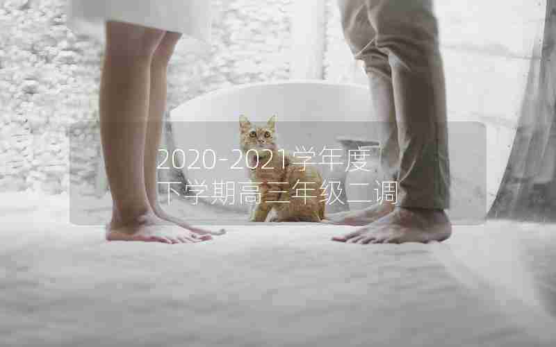 2020-2021学年度下学期高三年级二调