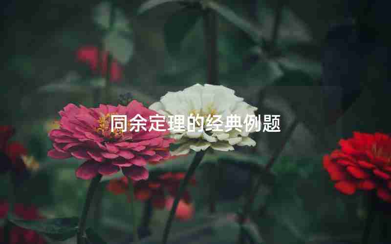 同余定理的经典例题