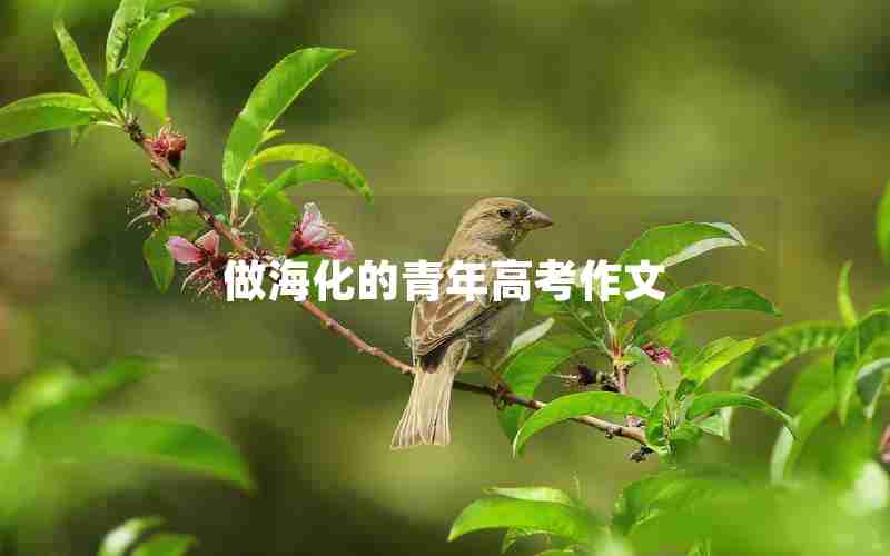 做海化的青年高考作文
