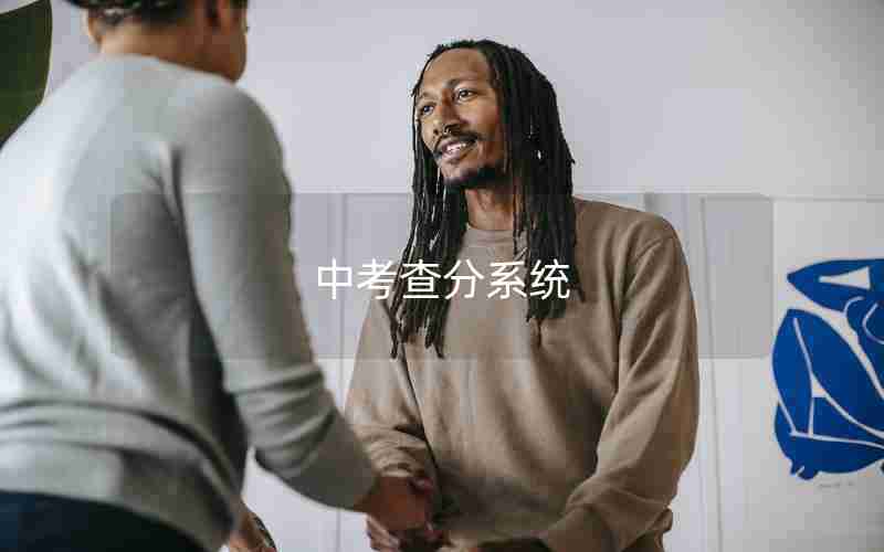 中考查分系统
