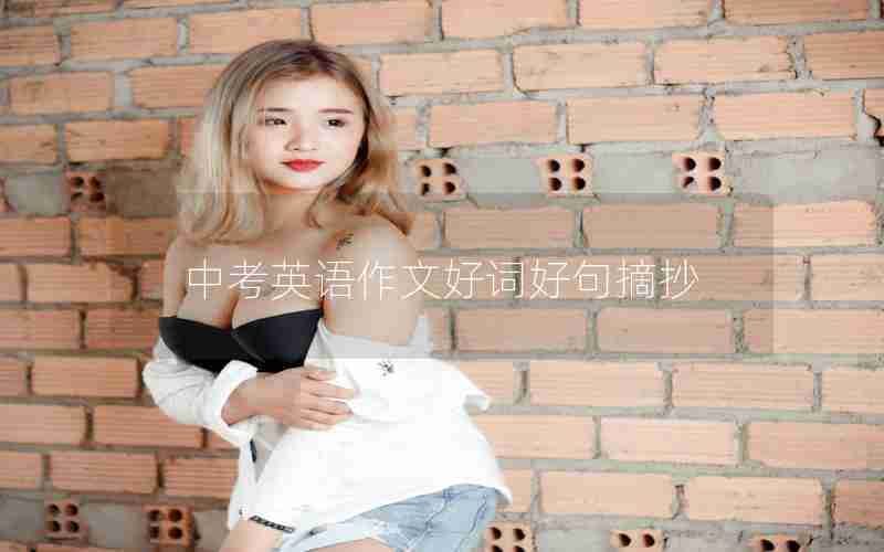 中考英语作文好词好句摘抄
