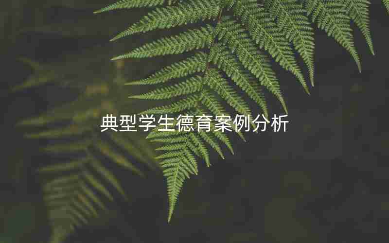 典型学生德育案例分析