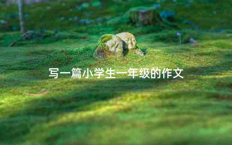 写一篇小学生一年级的作文