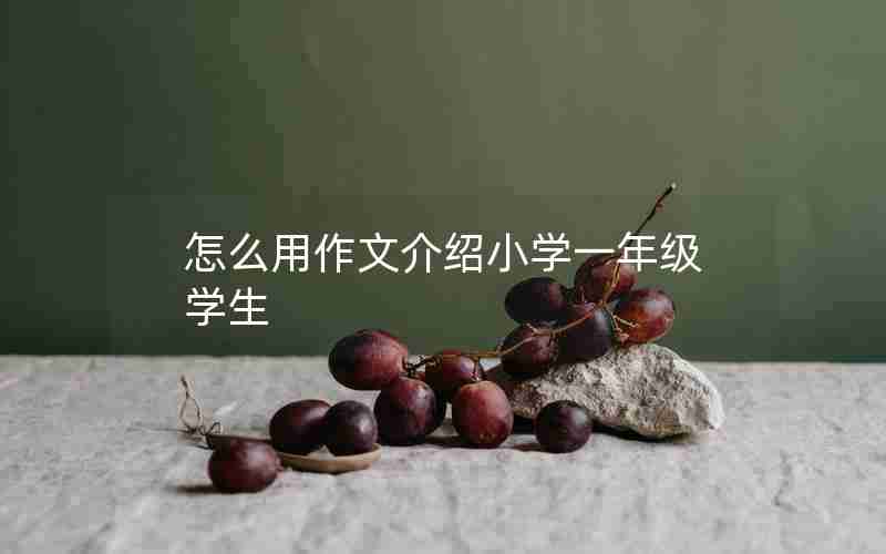 怎么用作文介绍小学一年级学生