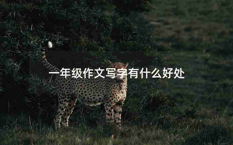 一年级作文写字有什么好处