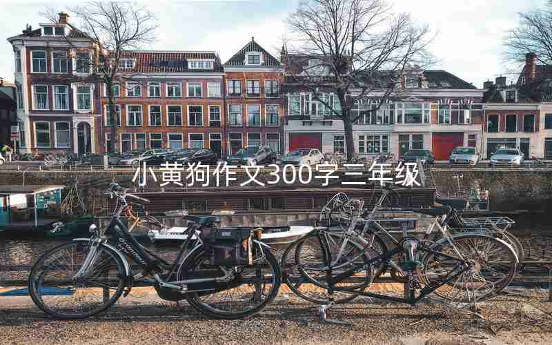 小黄狗作文300字三年级