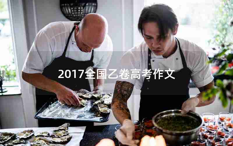 2017全国乙卷高考作文