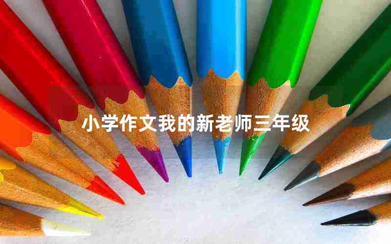 小学作文我的新老师三年级
