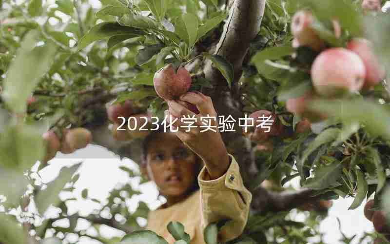 2023化学实验中考