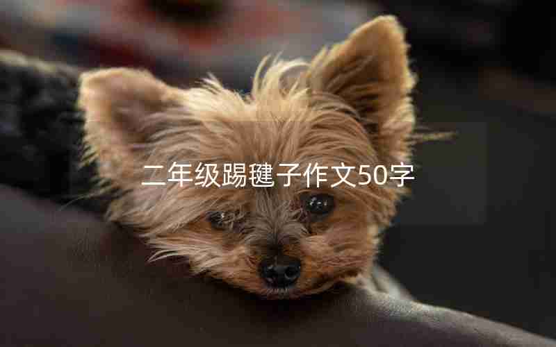 二年级踢毽子作文50字