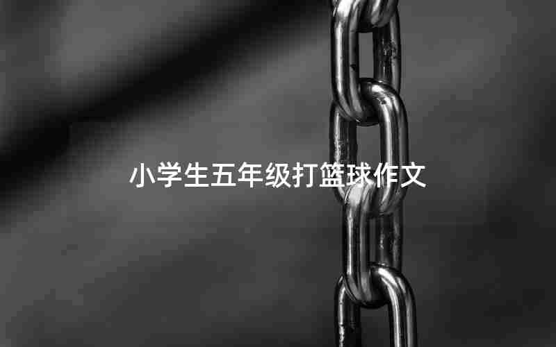 小学生五年级打篮球作文