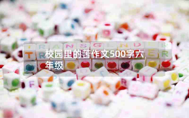 校园里的苦作文500字六年级
