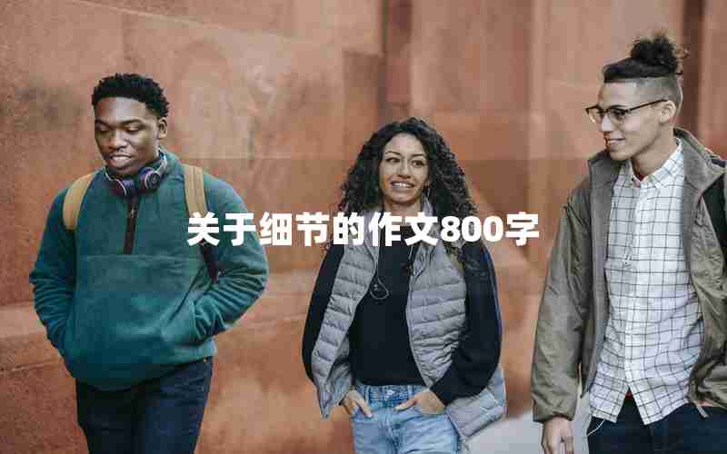 关于细节的作文800字