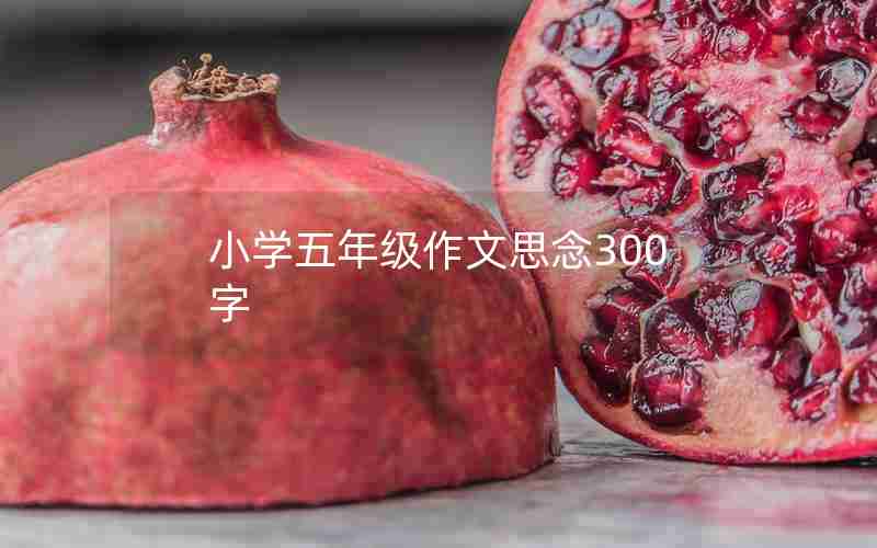小学五年级作文思念300字