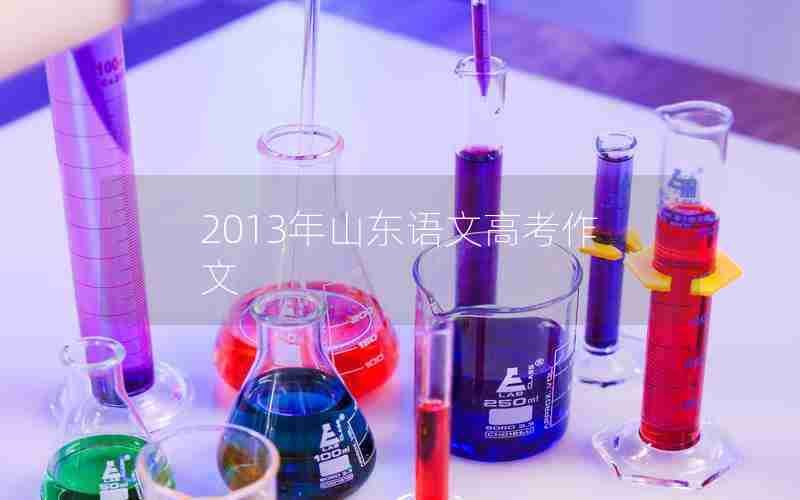 2013年山东语文高考作文