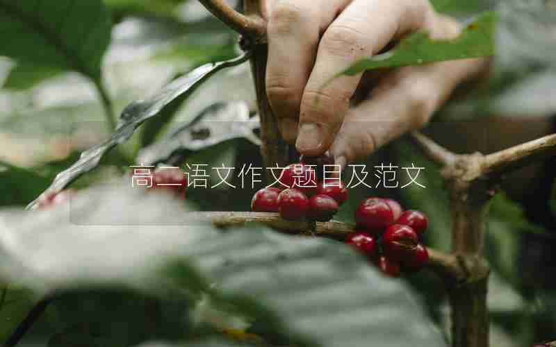 高二语文作文题目及范文