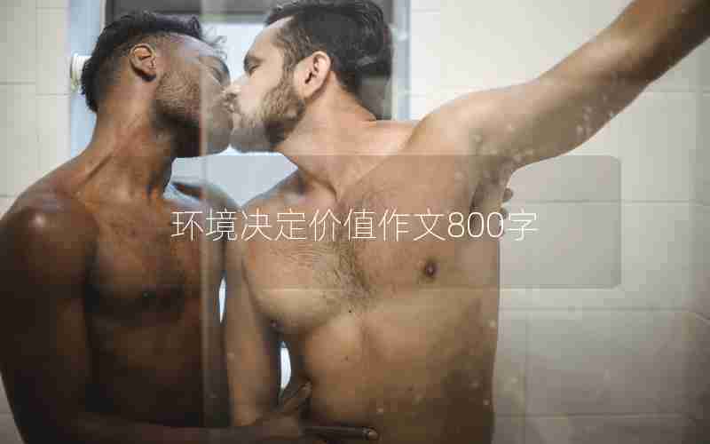 环境决定价值作文800字
