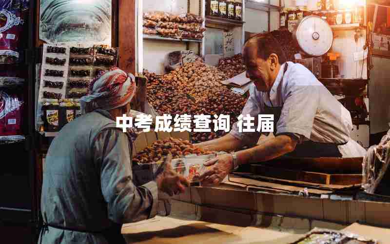 中考成绩查询 往届