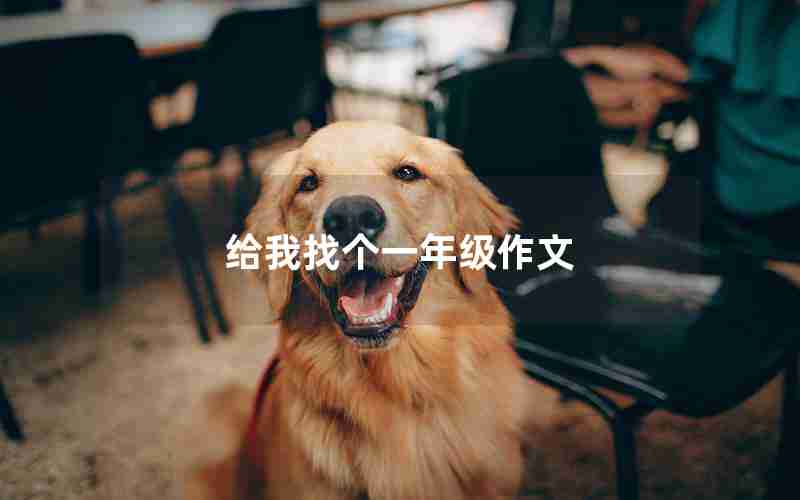 给我找个一年级作文