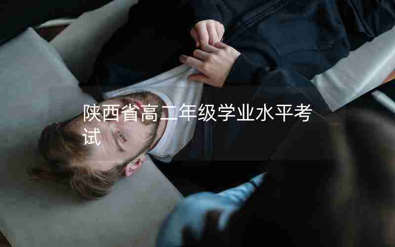 陕西省高二年级学业水平考试