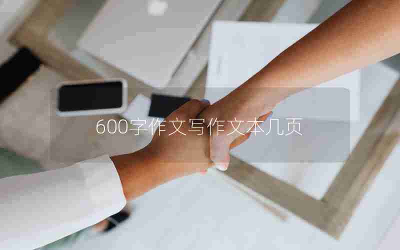 600字作文写作文本几页