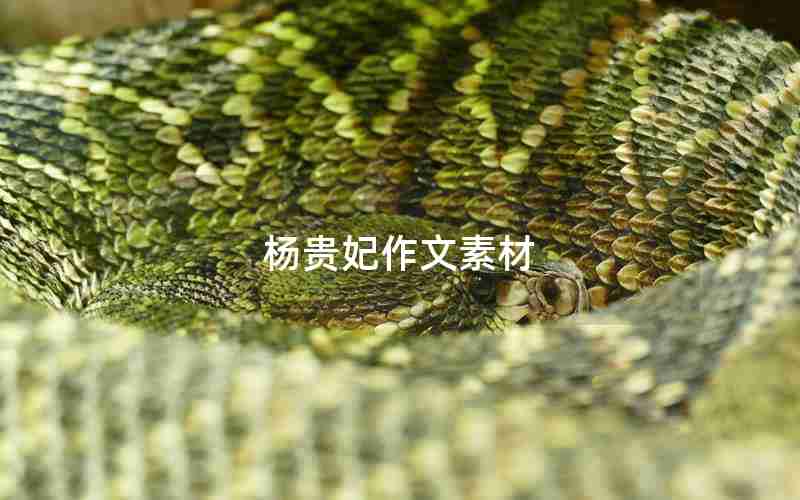 杨贵妃作文素材