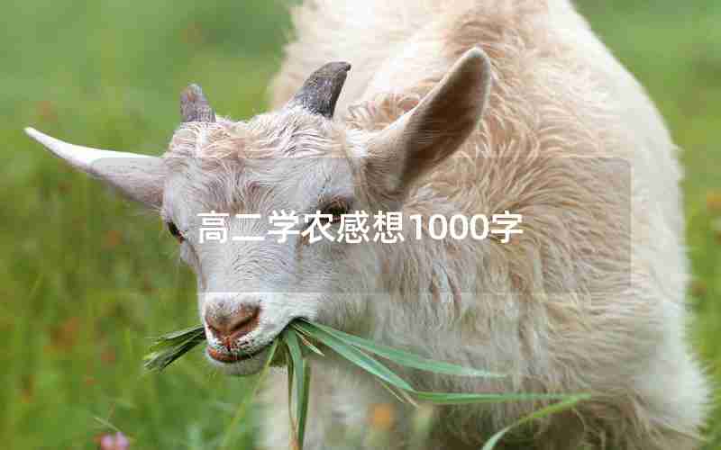 高二学农感想1000字