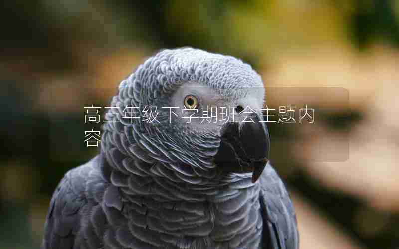 高三年级下学期班会主题内容