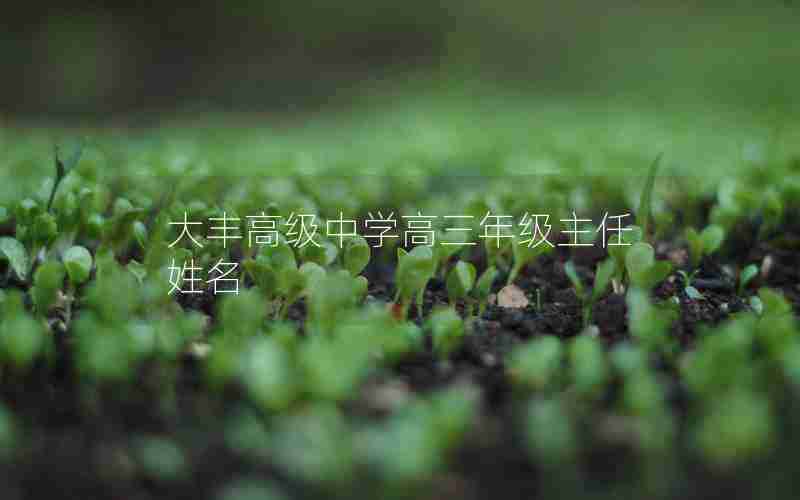 大丰高级中学高三年级主任姓名