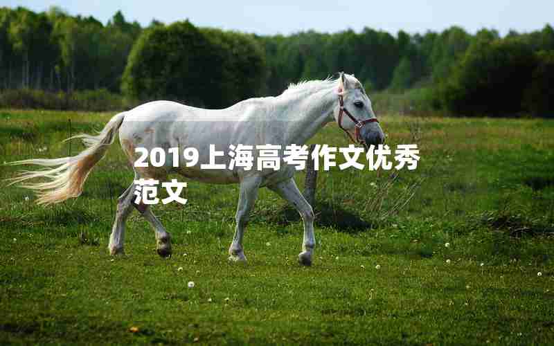 2019上海高考作文优秀范文