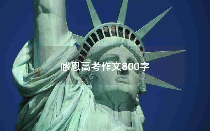 感恩高考作文800字