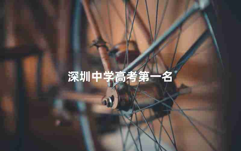 深圳中学高考第一名