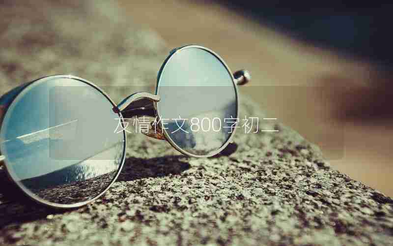 友情作文800字初二