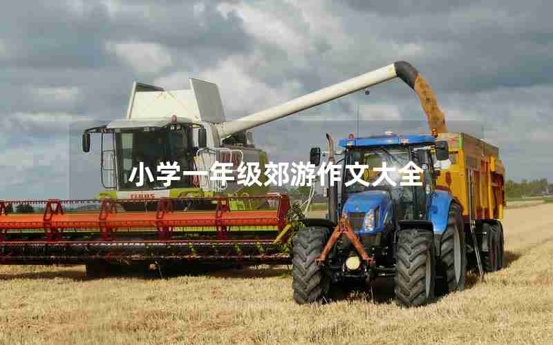 小学一年级郊游作文大全