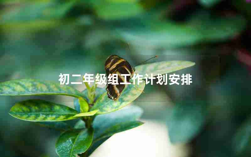 初二年级组工作计划安排
