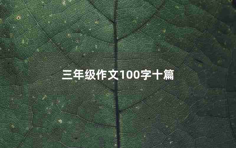 三年级作文100字十篇