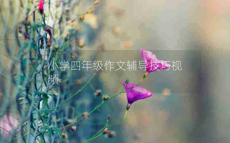 小学四年级作文辅导技巧视频