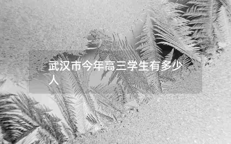 武汉市今年高三学生有多少人