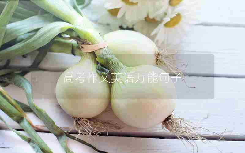 高考作文英语万能句子