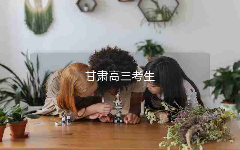 甘肃高三考生