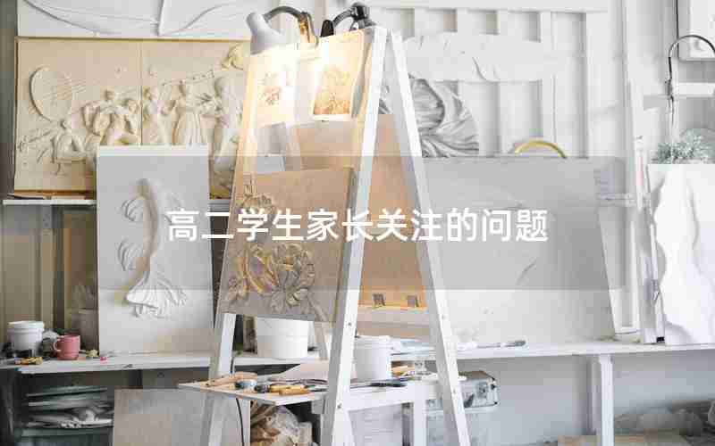 高二学生家长关注的问题