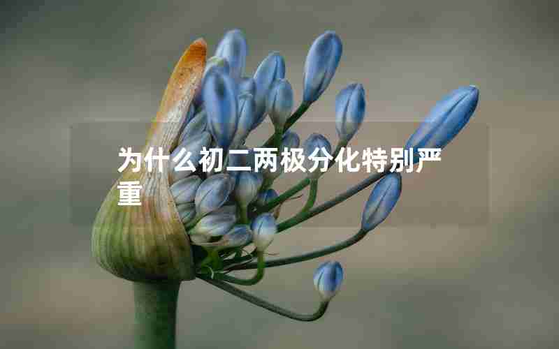 为什么初二两极分化特别严重