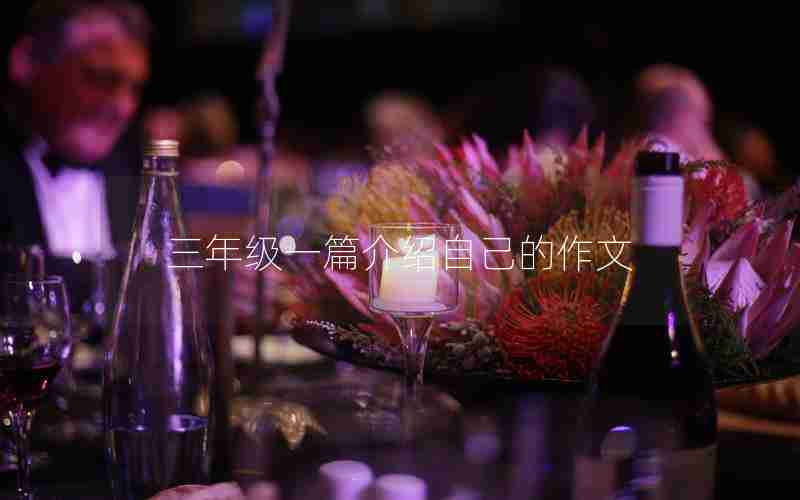 三年级一篇介绍自己的作文