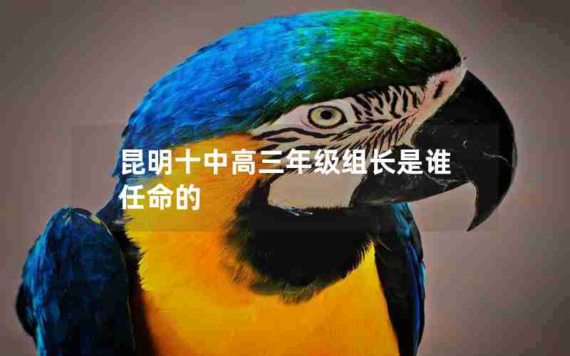 昆明十中高三年级组长是谁任命的