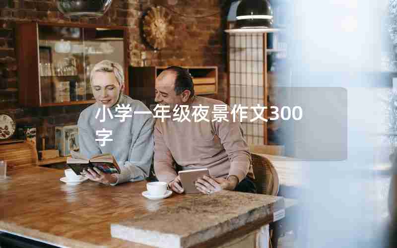 小学一年级夜景作文300字