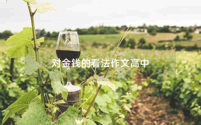 对金钱的看法作文高中