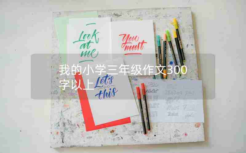 我的小学三年级作文300字以上