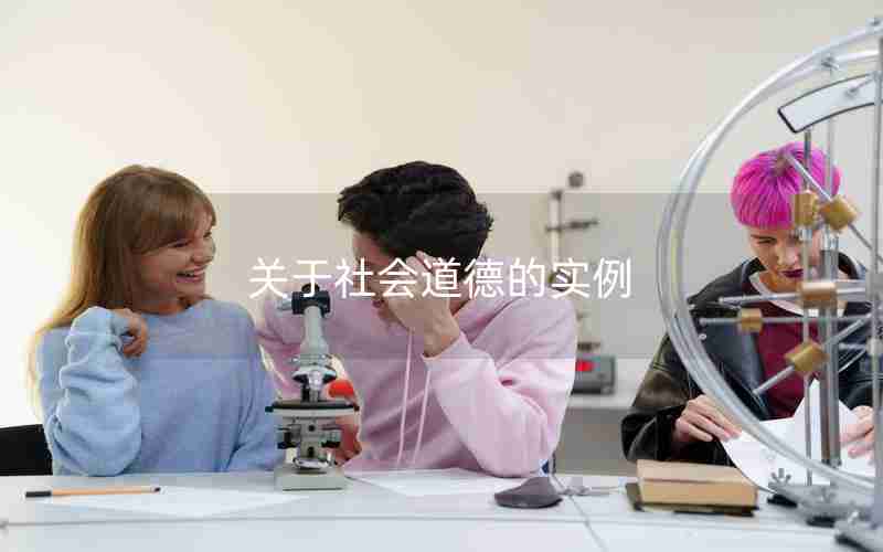 关于社会道德的实例