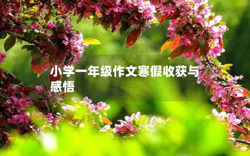 小学一年级作文寒假收获与感悟